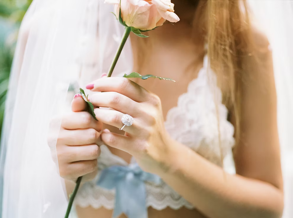 Person holding a pink rose with a soft focus background